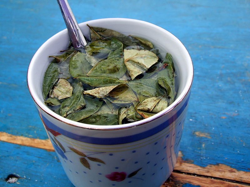 Coca Tea