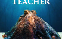 My Octopus Teacher on Netflix