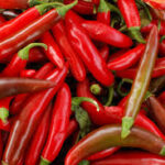 Thai Chilis from Hmong Farmers