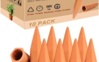 Terracotta Watering Spikes
