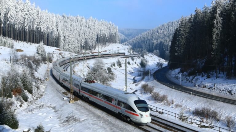 ICE T Bahn.de