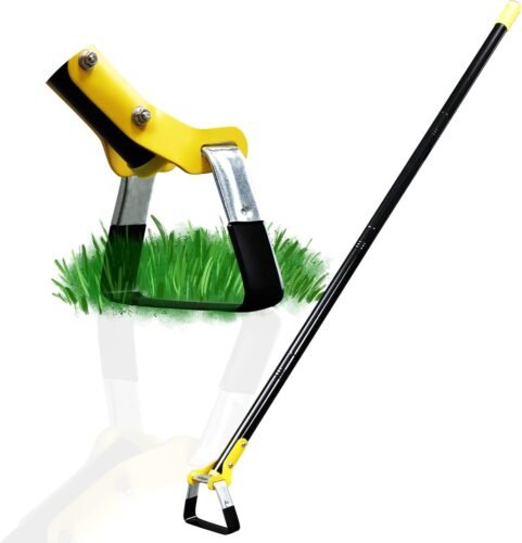 Stirrup Hoe Garden Tool

