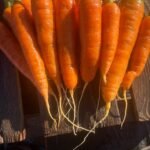 Food Find: Nash’s Produce Carrots